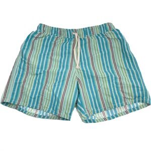 Napapijri Striped Retro Swim Trunks Lined Elastic Waist Men's Swim‎ Shorts M